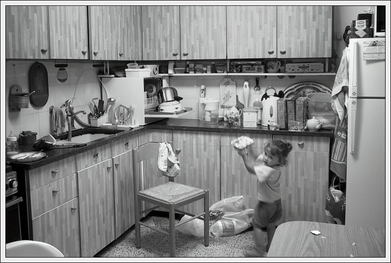 "Kitten in the kitchen"