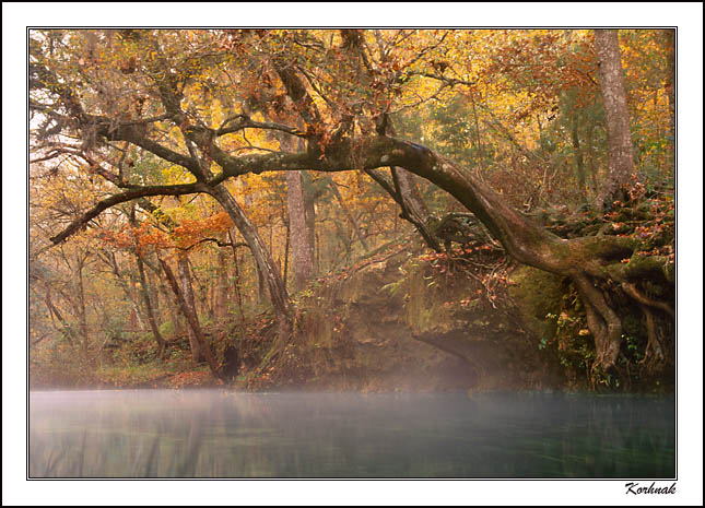 river bank