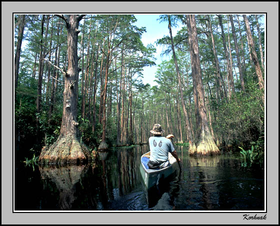 paddling along, singing a song