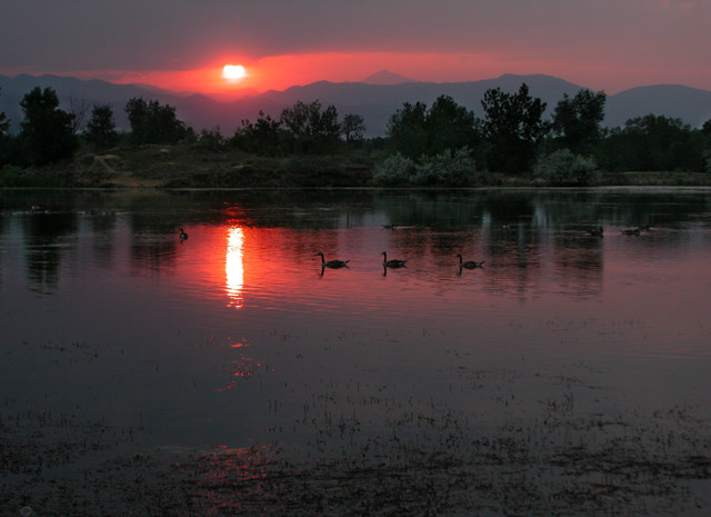 Hot Sawhill Sunset