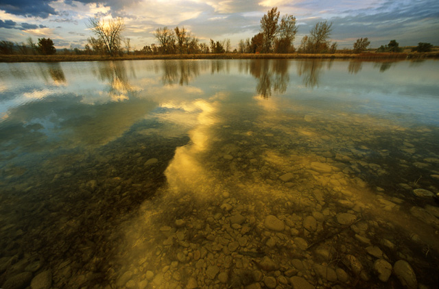 Contemplation At Water`s Edge