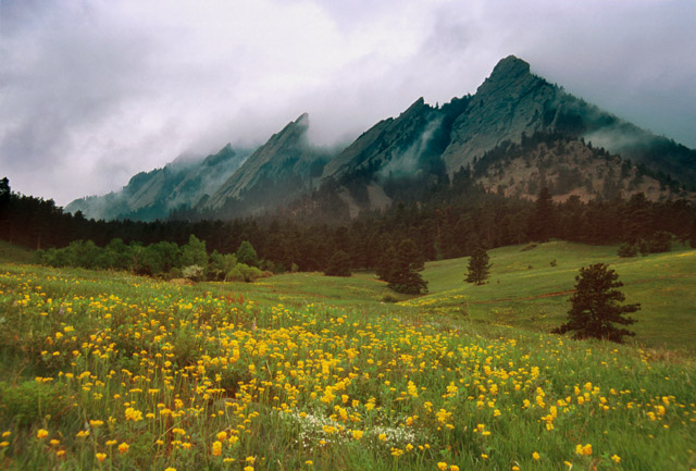 Spring Storm Receeds