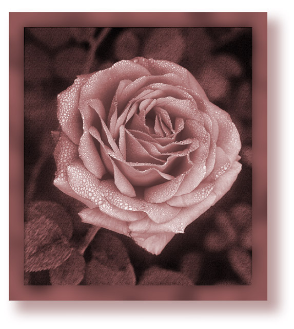 Blush - Note Card Design