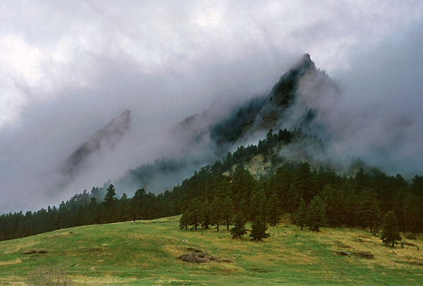 Mountain Mist