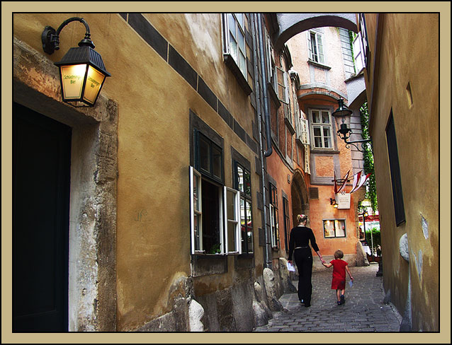 In the old city of Vienna