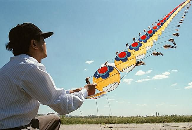  - Kite Pilot