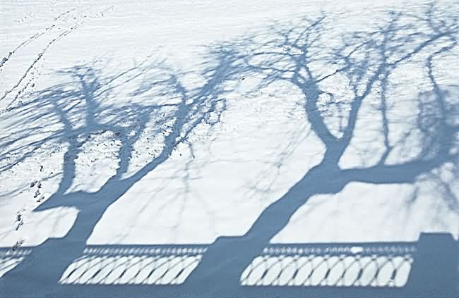    (   ) - Shadows on Snow (from the Simple Truths series)