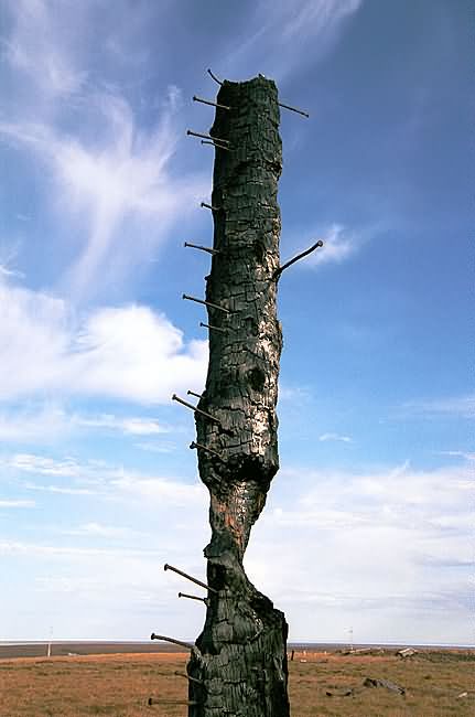     (  ) - Totem Pole of the Post-Soviet Era (from the