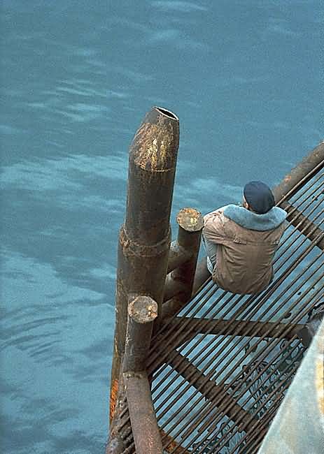    (   ) - The Old Man and the Sea (from the Free Turkmenista