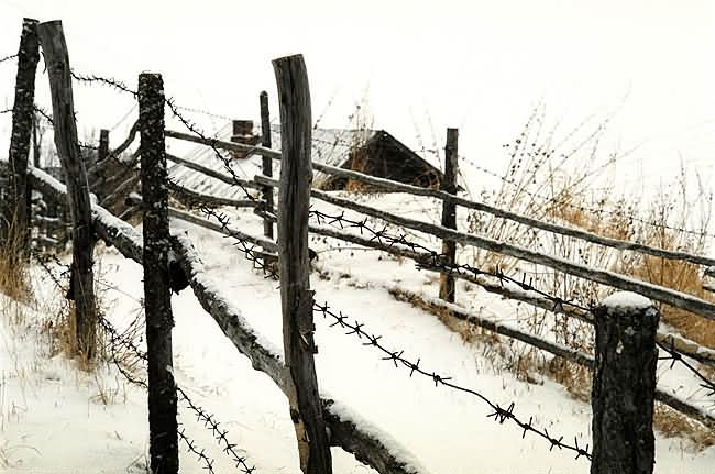   (  ) - Siberian Pastoral (from the Creepy Stories series)