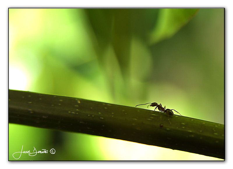  ?Looking for food for the long winter?