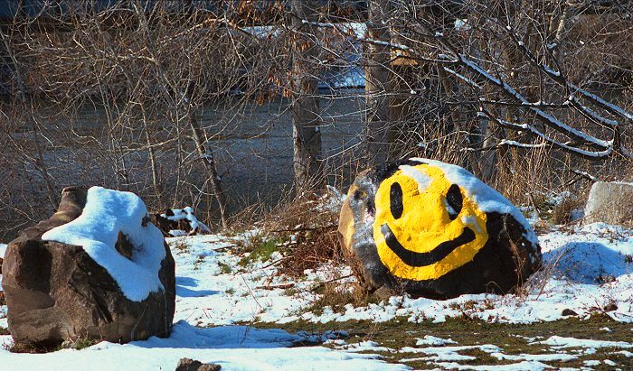  ?Happy Rock thawing in the sun.?