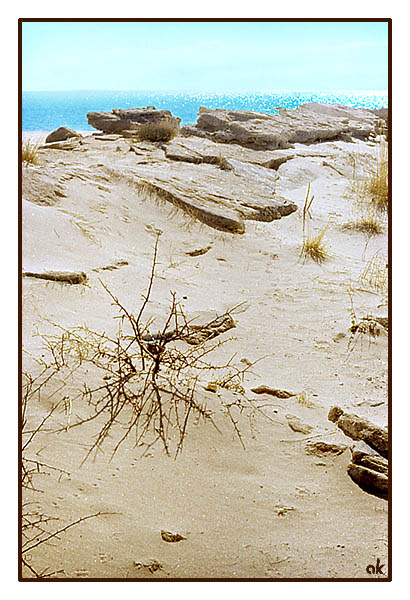 Sand of Issyk-Kul Lake