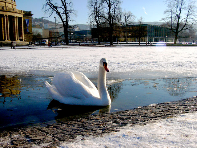 Warm winter in Stuttgart