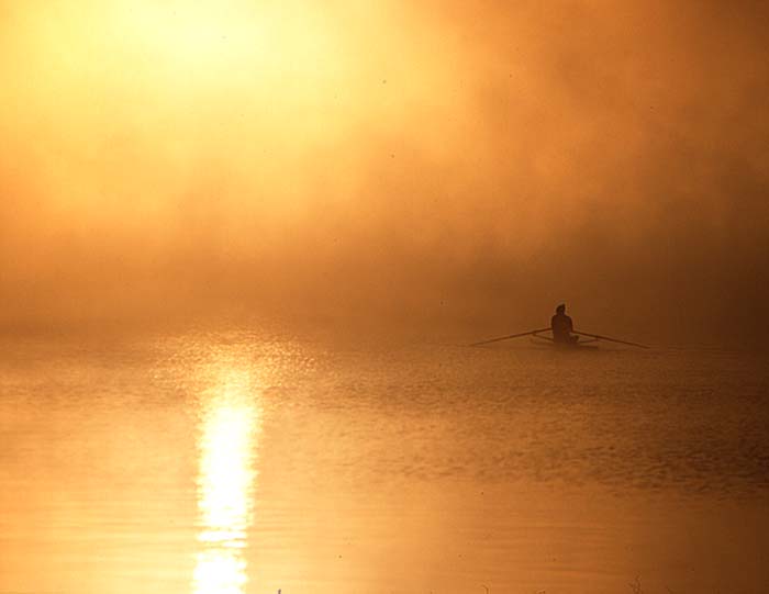 sculler in fog/golden light