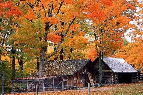 muskoka fall colours