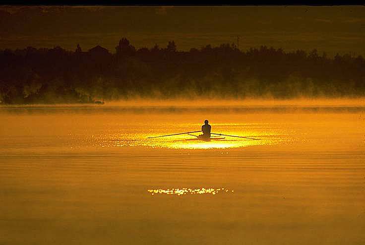 sculler in golden light