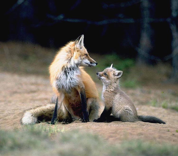 looking up to Mama