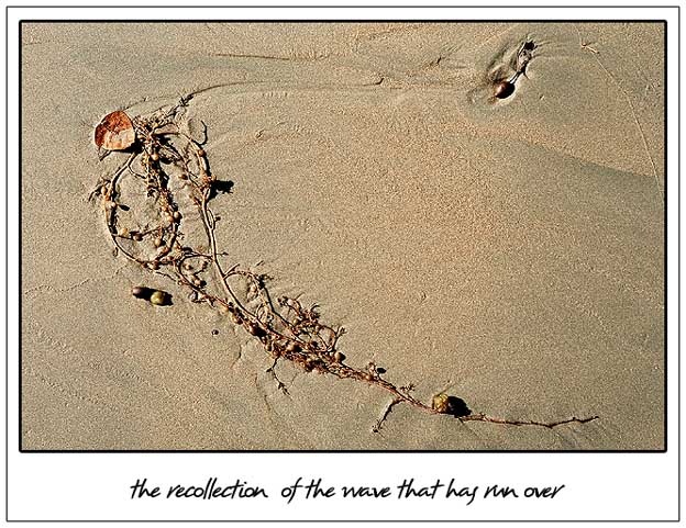 the recollection of the wave