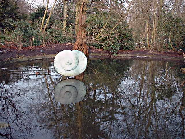 Reflections in a pond