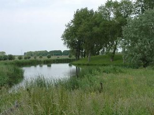 Landscape at Spaarndam