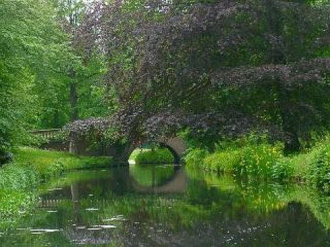 Landscape at Elswout