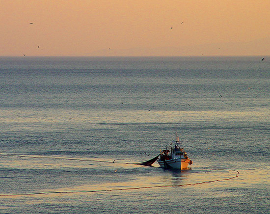 Casting the nets