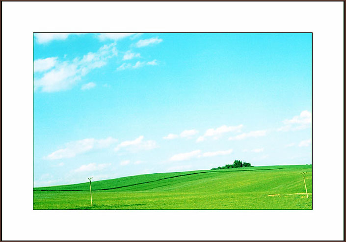 Green field