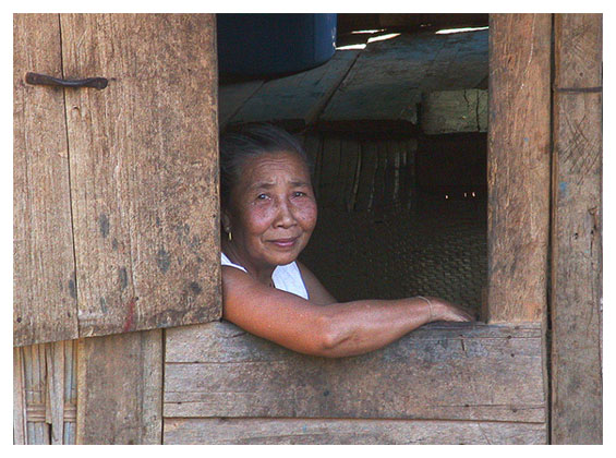 Resting by the window