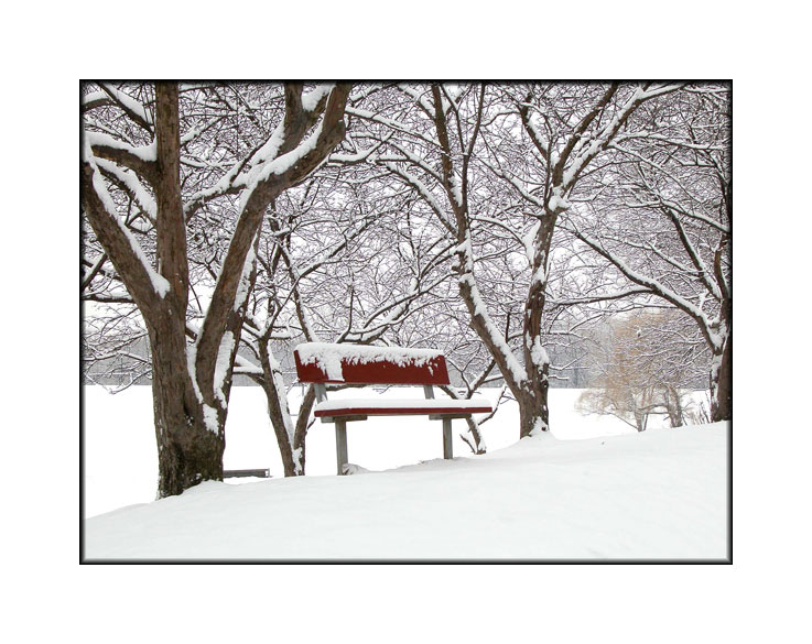 Park Bench