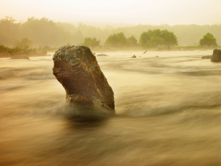 Awakening Potomac