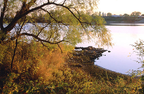 Golden Evening Light