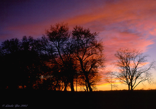 Late Autumn Sunset