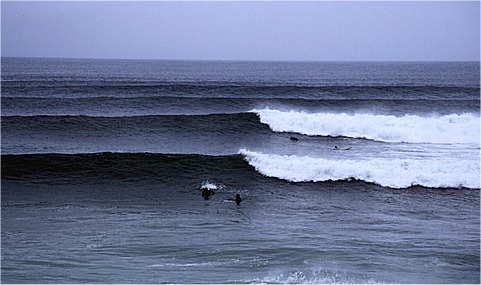 A nice portuguese line-up