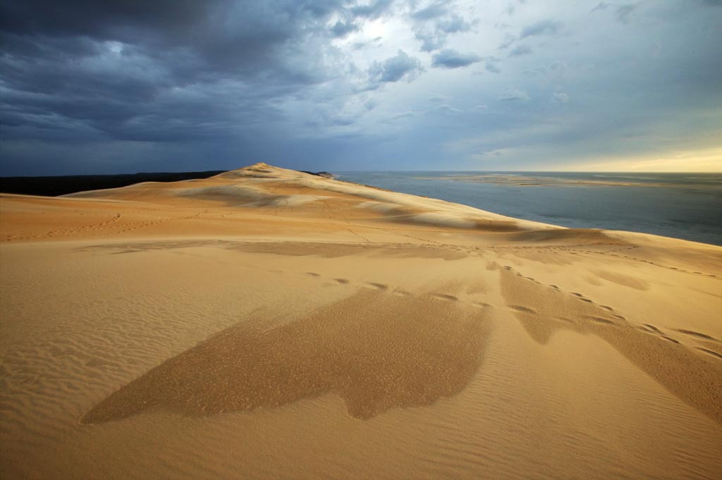 pyla dune between forest and ocean