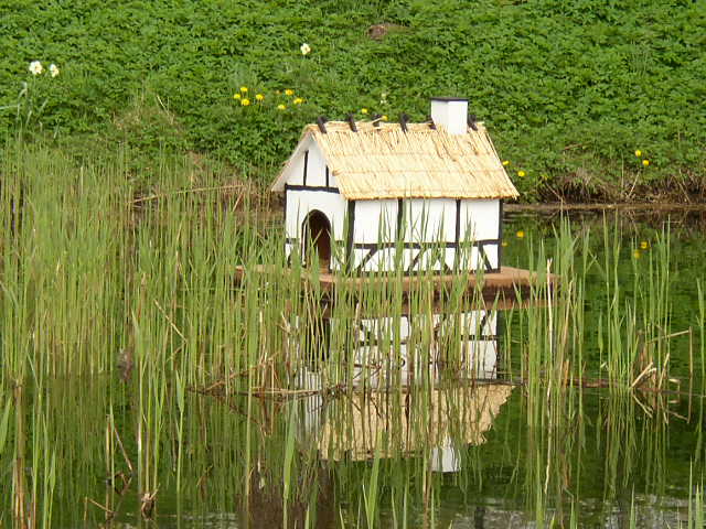 House of the birds