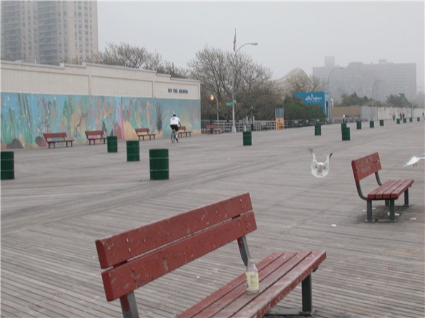 Brighton Boardwalk