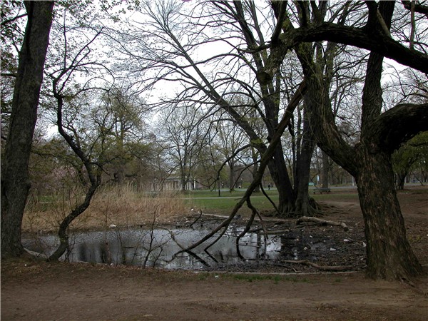 Prospect Park Small Lake