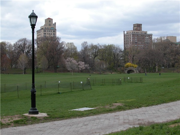 Prospect Park,   