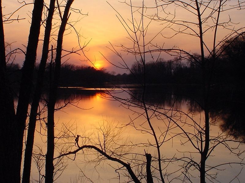 River Sunset