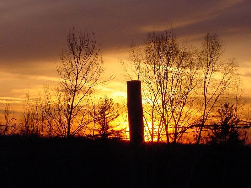 Fencepost Sunset