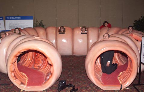 Colossal Colon -   ,         