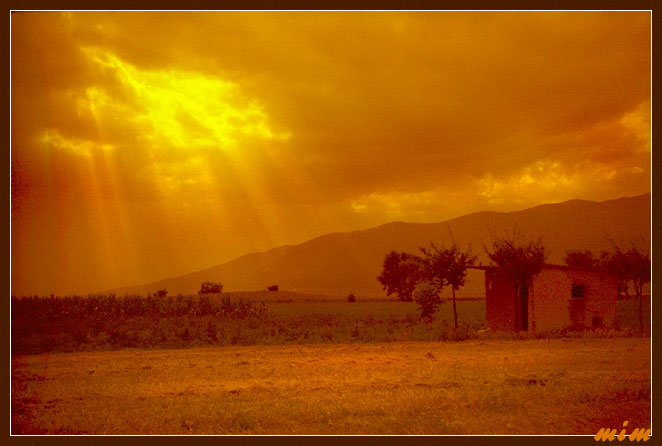 Orange landscape