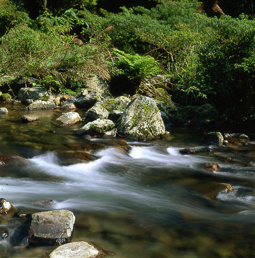 Stream(1)