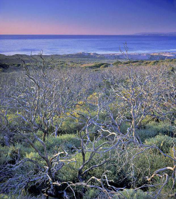 Montana de Oro