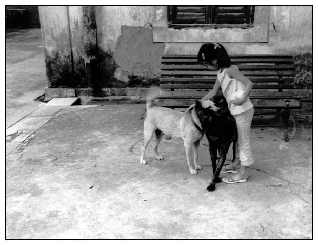 Chinese girl with dogs