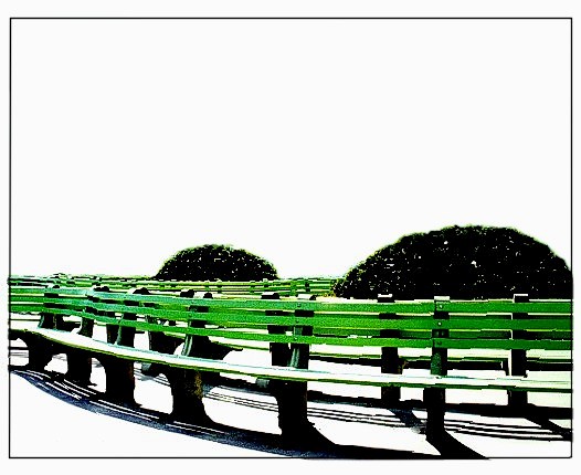 Green Bench(2)