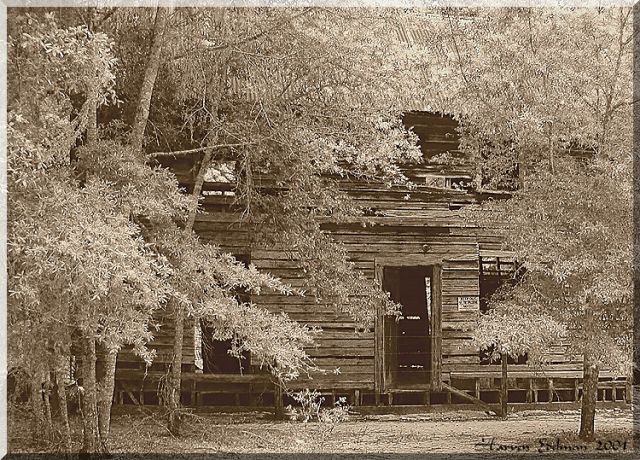 An Old Cabin