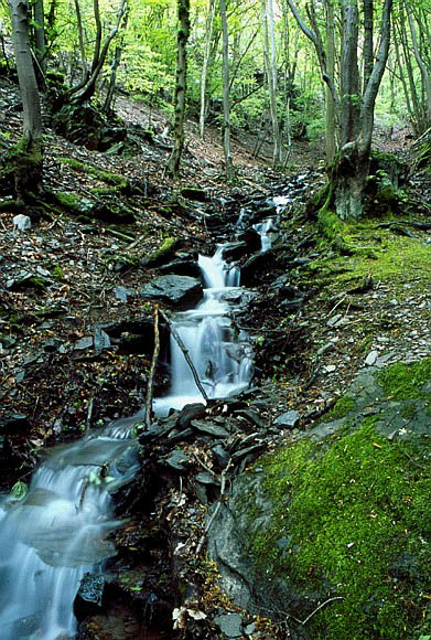 Mountain Waterfall