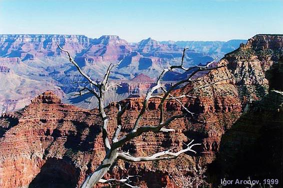 Great Grand Canyon